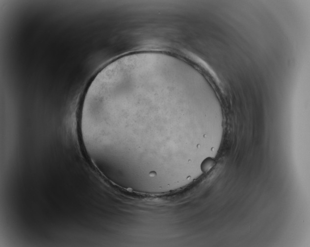 X0000087591463200705181210