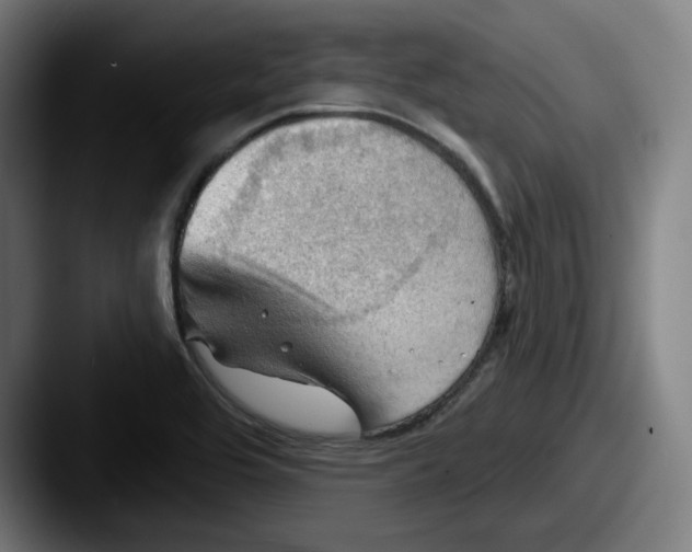 X0000087591464200705181210