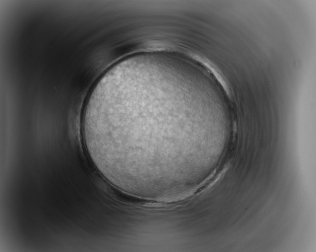 X0000087591465200705181210