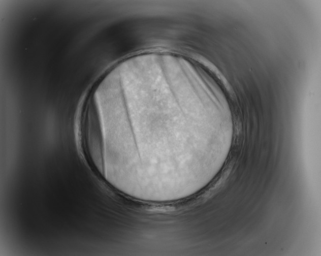 X0000087591466200705181210