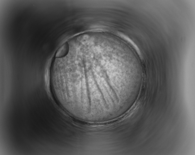 X0000087591467200705181210