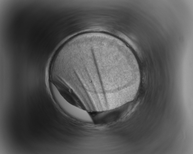 X0000087591468200705181210