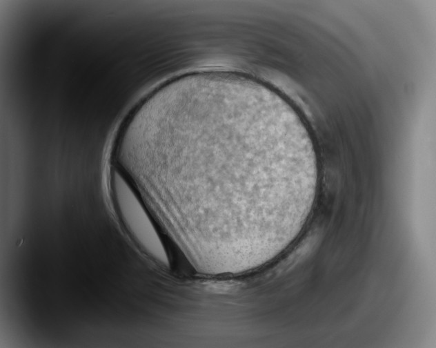 X0000087591469200705181210