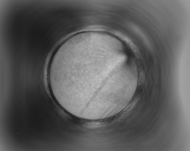 X0000087591470200705181210