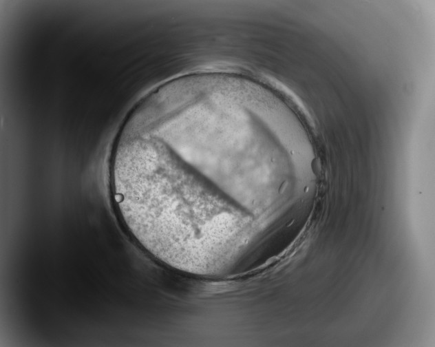 X0000087591471200705181210