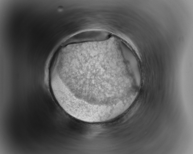 X0000087591472200705181210