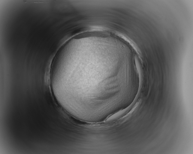 X0000087591473200705181210