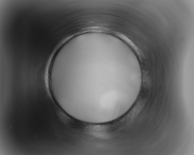 X0000087591474200705181210