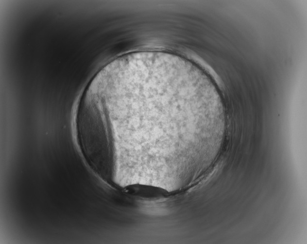 X0000087591475200705181210