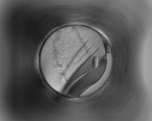 X0000087591476200705181210