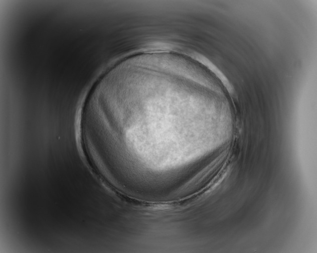 X0000087591477200705181210