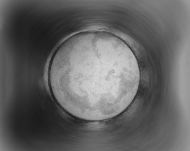 X0000087591478200705181210