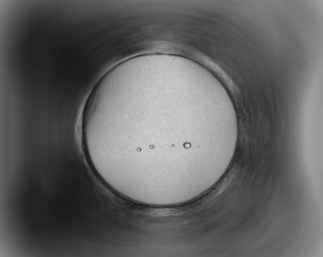 X0000087591479200705181210