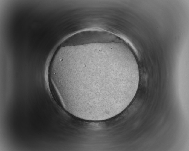 X0000087591480200705181210