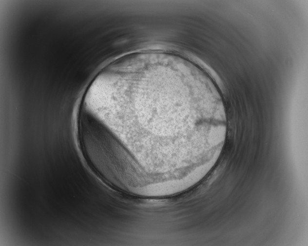 X0000087591483200705181210