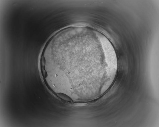 X0000087591484200705181210