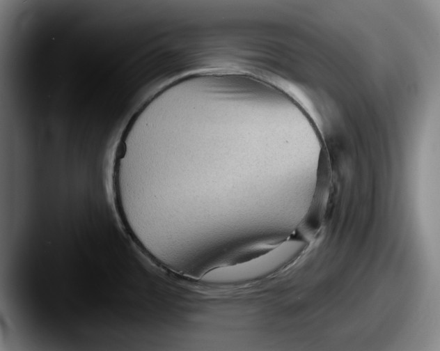 X0000087591485200705181210