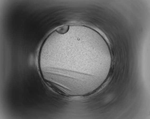 X0000087591486200705181210