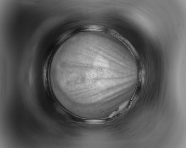 X0000087591487200705181210