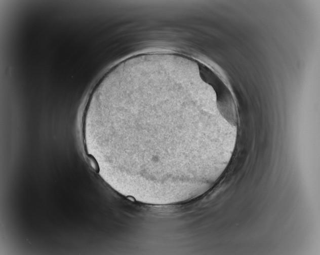 X0000087591488200705181210