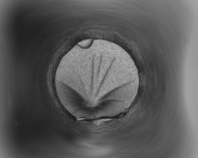 X0000087591489200705181209