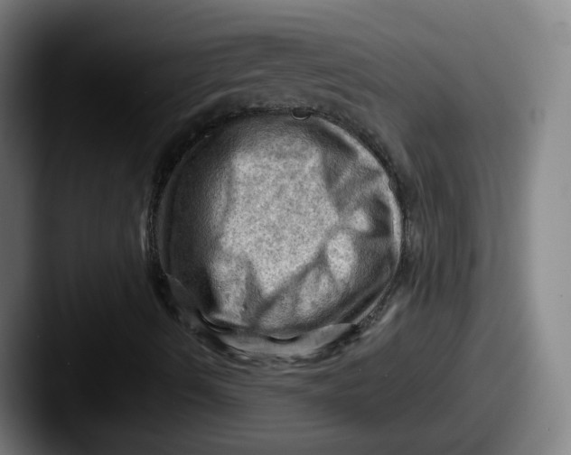 X0000087591490200705181209