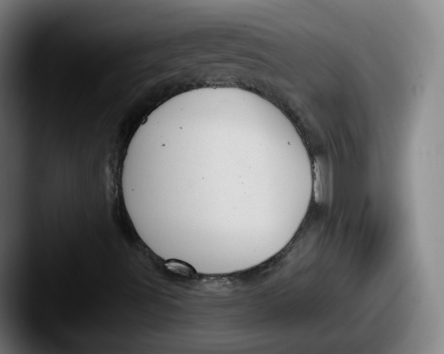 X0000087591491200705181209