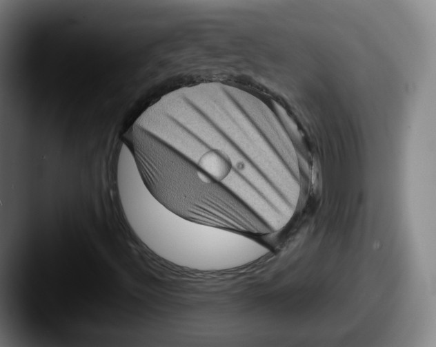 X0000087591492200705181209