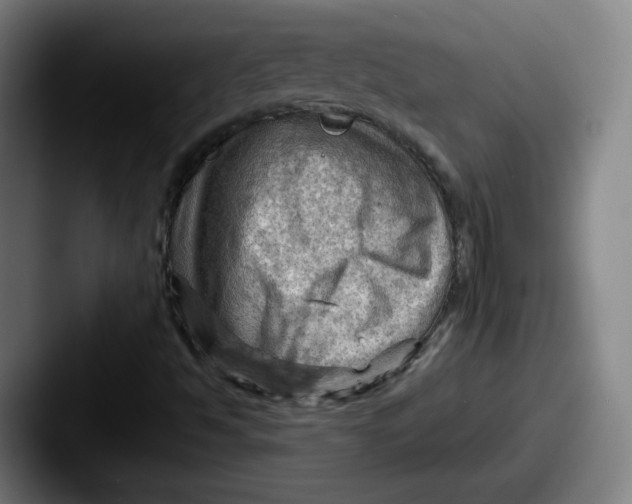 X0000087591494200705181209