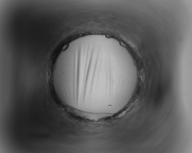 X0000087591495200705181209