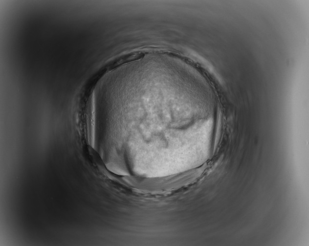 X0000087591496200705181209