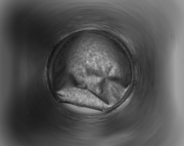 X0000087591497200705181209