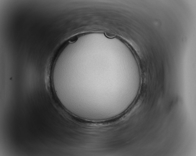 X0000087591499200705181209