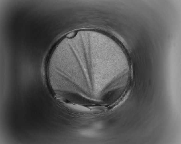 X0000087591501200705181209