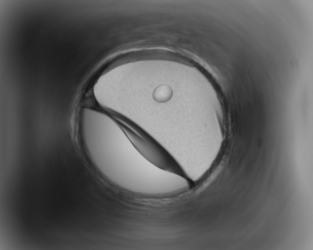 X0000087591502200705181209