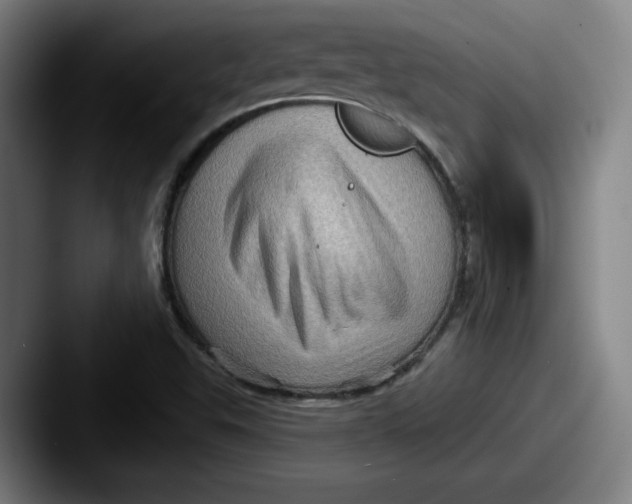 X0000087591503200705181209