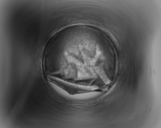 X0000087591505200705181209