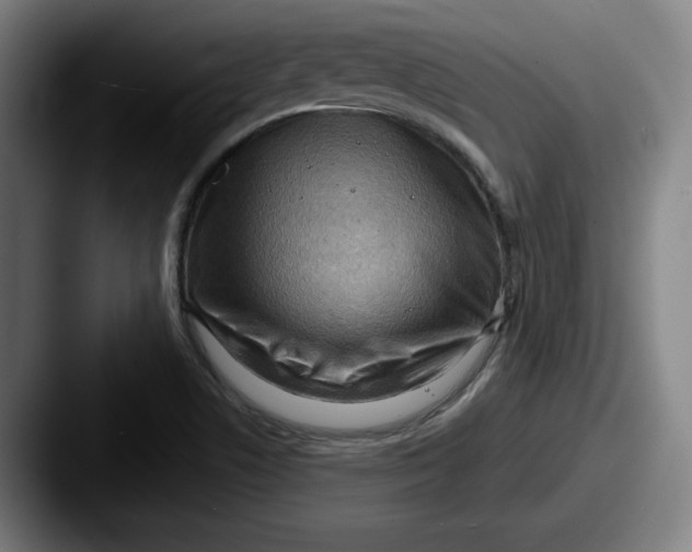 X0000087591506200705181210