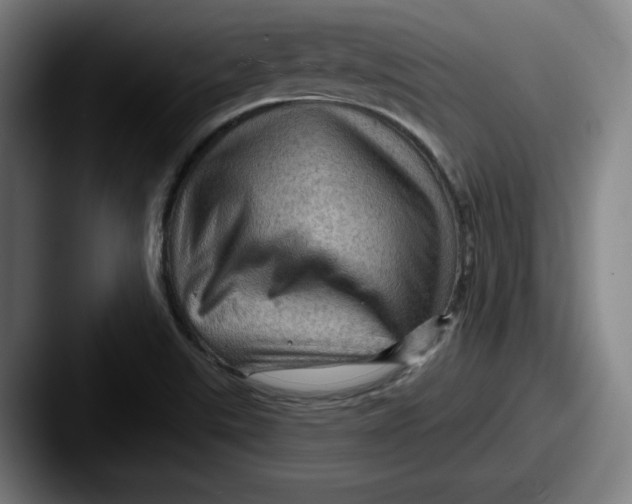 X0000087591507200705181210