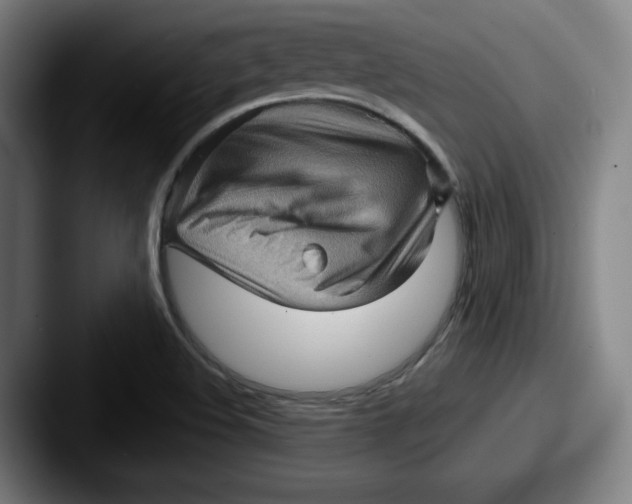 X0000087591508200705181210