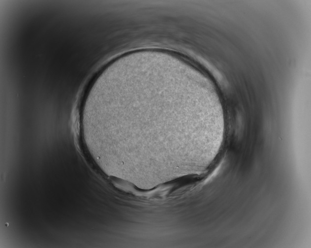 X0000087591509200705181210