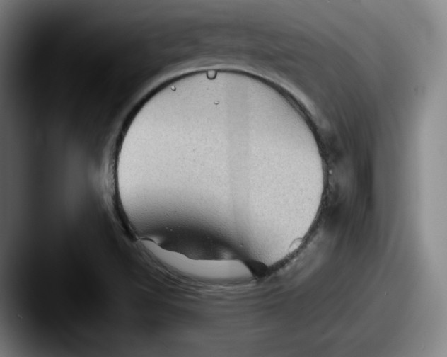 X0000087591510200705181210