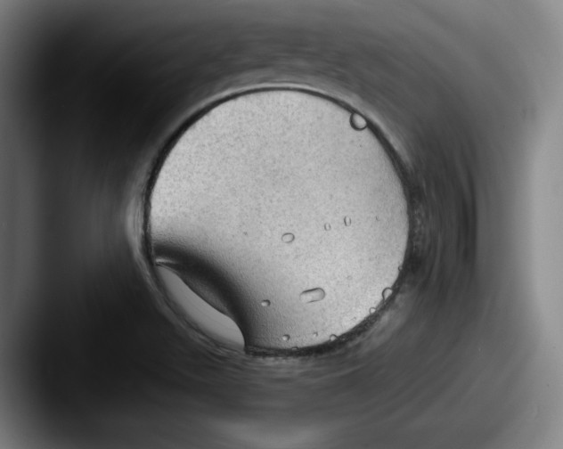 X0000087591511200705181210