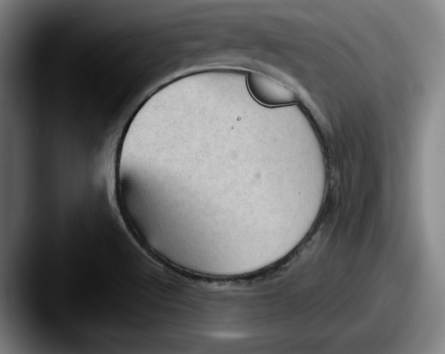 X0000087591512200705181210