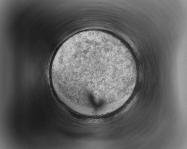 X0000087591513200705181210