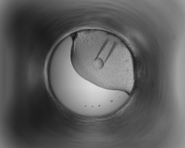 X0000087591514200705181210