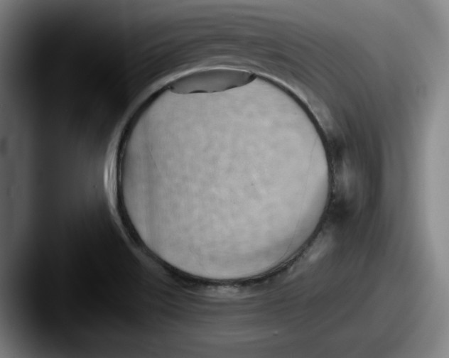 X0000087591515200705181210