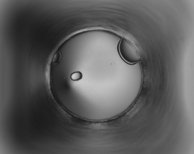 X0000087591516200705181210