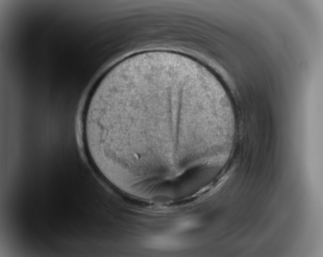 X0000087591517200705181210