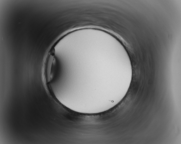 X0000087591518200705181210